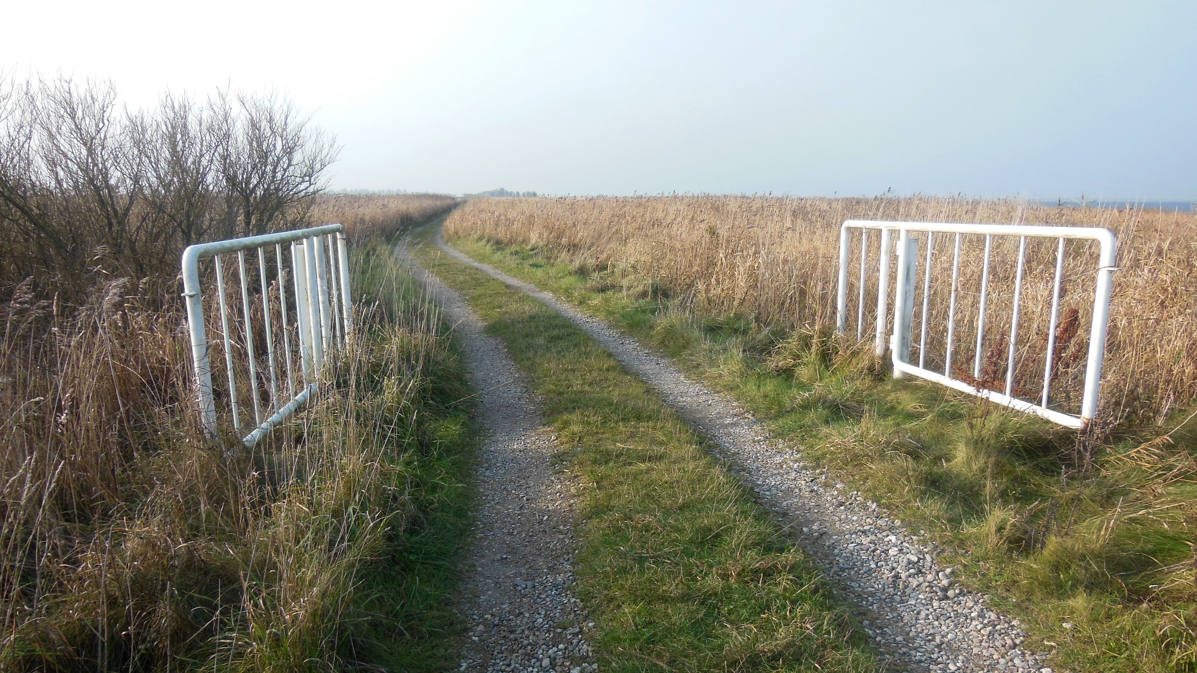 Hindø 